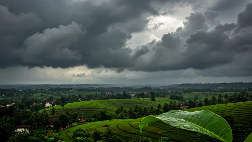 Monsoon Shows Signs of Revival After August Rainfall Deficit in Kerala