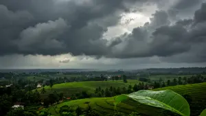 Monsoon Shows Signs of Revival After August Rainfall Deficit in Kerala