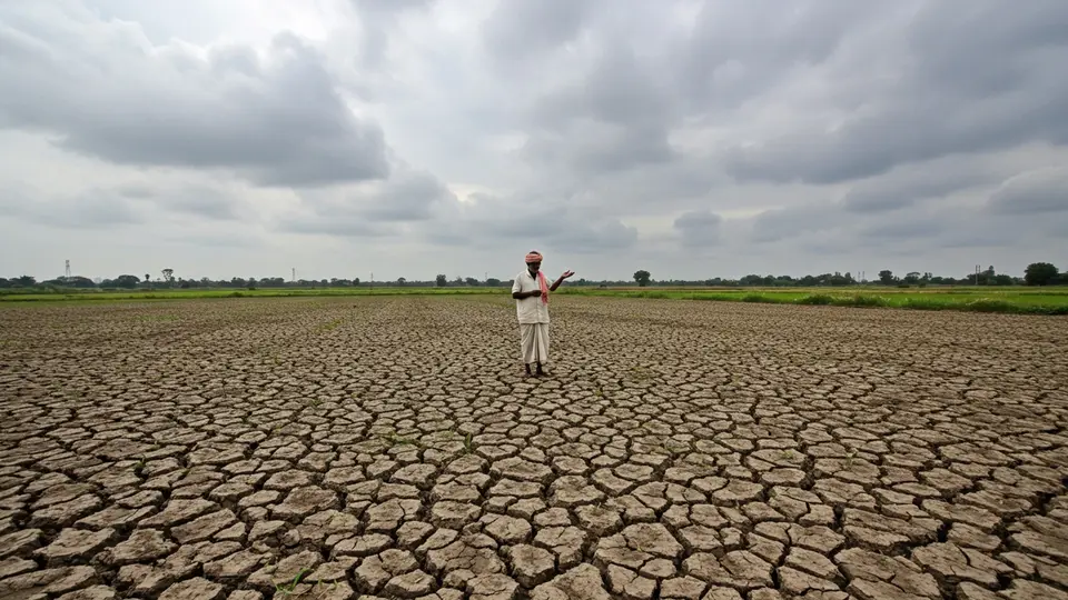 Kharif Sowing Faces Setbacks Amidst Inconsistent Monsoon and Urea Shortage in Telangana