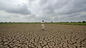 Kharif Sowing Faces Setbacks Amidst Inconsistent Monsoon and Urea Shortage in Telangana