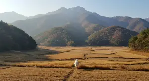 जोकोविच को मिली छूट पर भारतीय खेल मंत्रालय नाराज, आयोजकों से पूछा – ‘अन्य खिलाड़ियों के लिए अलग नियम क्यों?’