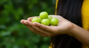 बरसात में बालों के लिए अमृत समान है यह खट्टा फल: आयुर्वेद विशेषज्ञ बता रहे हैं इसके चौंकाने वाले फायदे