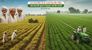 हरित क्रांति ने कैसे बदली किसानों की किस्मत आधुनिक कृषि के फायदे