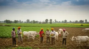 कृषि अधिशेष से आय कैसे बढ़ाएँ और गैर-कृषि व्यवसायों में निवेश करें?