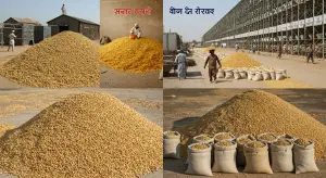भारत में खाद्यान्न प्रबंधन की चुनौतियाँ और स्थायी समाधान
