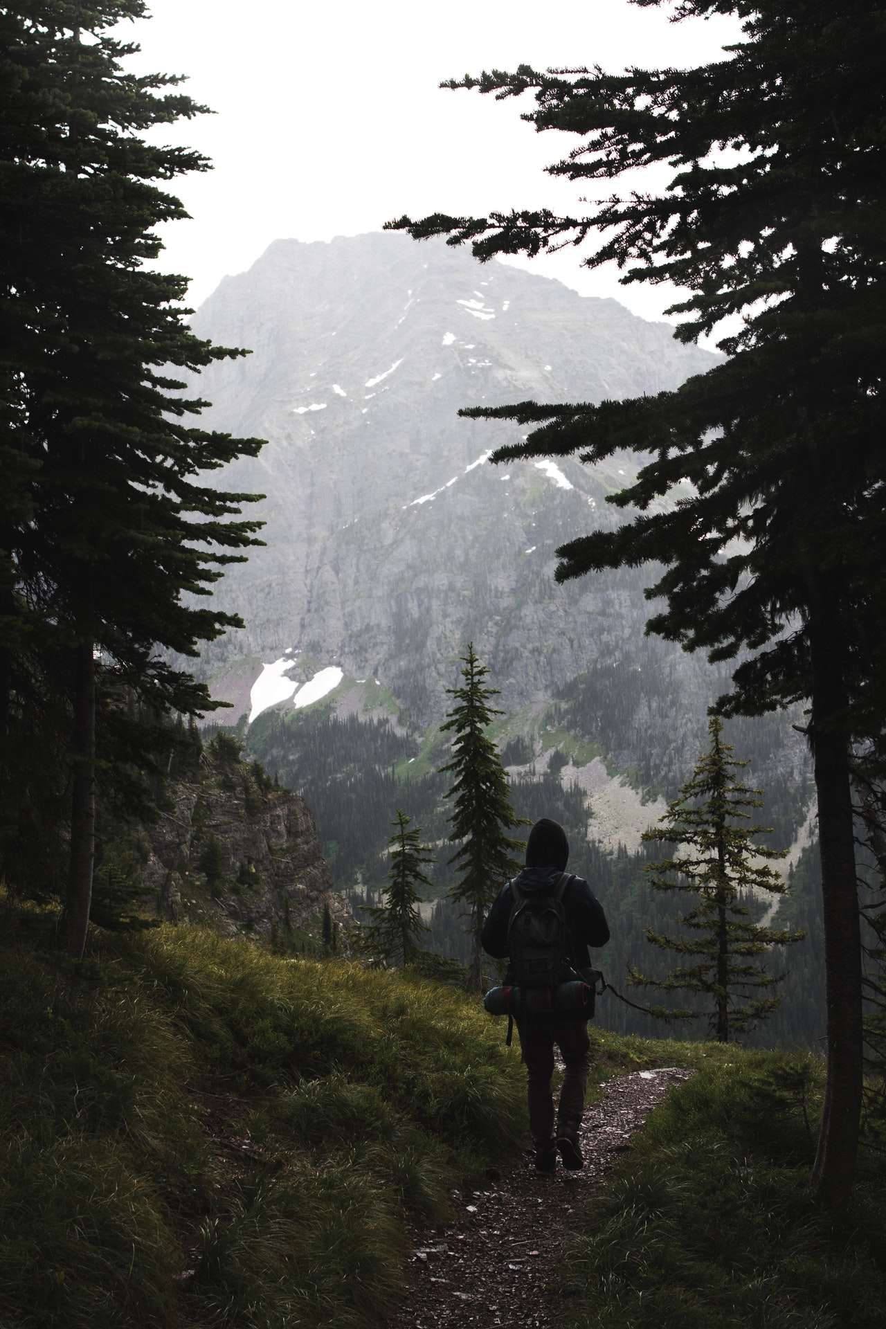 HOW TO TRAVEL WITH A THEME A WALK FOR FREEDOM