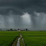 UP: Alert for heavy rain tomorrow in Terai districts, Monsoon trough line shifted north - Big change in weather!