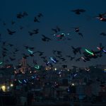 Muzaffarnagar: Pigeon Fanciers' Antics — Pigeons with Neck Lights, Drone Noise, and Uproar