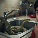 Thumping Sound from Kitchen Sink, Peek Reveals 8-Foot Long Snake, Entire House Trembles!