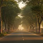 Shahjahanpur: Jalalabad Highway Widening Gets Green Light; 5746 Trees To Be Felled And Encroachment Cleared At The Cost Of Development.