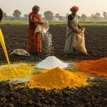 Amazing Experiment! Mixed 60 Liters of Mustard Oil, 40 Kg of Alum, and 20 Kg of Turmeric into the Soil, Know What Will Happen Now?