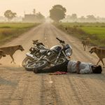 Tragic Incident in UP: Brother Returning From Rakhi Ceremony Dies After Being Chased By Dogs