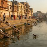 The administration of this city took an astonishing step to save cats drowning in the canal!
