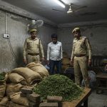 Chhattisgarh Police's Big Action in Uttar Pradesh: 9 Lakh Worth of Ganja Seized from Moradabad, Pakbara Businessman Arrested!