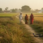 Menace of aggressive snakes in Kanpur: Cobras and Kraits bit 418 people in 16 months