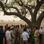 Fertilizer Crisis: Farmer's 'I'll give my life!' threat from a tree causes uproar, police called