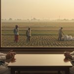 Fertilizer Crisis Deepens in UP: Shahi Demands Additional Urea from JP Nadda, Questions Raised Over Arbitrary Purchase