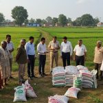 Major Government Decision on Fertilizer Crisis: Special Focus on Purvanchal, Officials to Conduct Surprise Inspections
