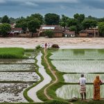 Flood threat increases in Pilibhit: 51,000 cusecs of water released into Devha River, alert in low-lying areas.