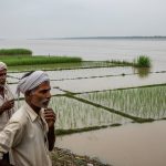 Ganga's water level in Bulandshahr rose by half a foot, farmers' concerns deepened after water was released from Bijnor Barrage