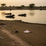Kanpur: Two innocent cousins tragically drown in pond while grazing cattle