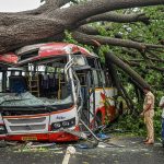 Massive tree falls on moving roadways bus in Barabanki, tragically killing 4 including 3 women teachers; Woman's 'Are you making a video' scream during rescue goes viral.