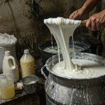 Not Milk, It's Poison! Counterfeit Milk Racket Operating From Home, Deadly Beverage Made Using These Ingredients.