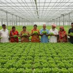 Agricultural Revolution in UP: 1.5 Million Disease-Free Vegetable Seedlings Being Produced with Israeli Technology, Farmers to Prosper