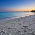 Japan's Amazing 'Star Beach': Where there's no sand, but heavenly stars are scattered, you'll be astonished!
