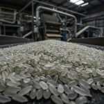 'Plastic Rice' Being Made in China's Factories: Viral Video Sparks Alarm! Know the Truth and Identification Methods