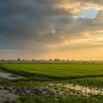 Good rainfall in UP ends, monsoon to weaken; new forecasts till August 31 released.