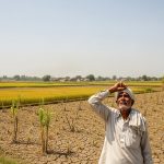Rain takes a break in UP: No rainfall until August 31; Day-night temperatures soar, raising concerns for farmers and the public.
