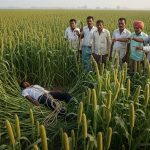 Horrifying Incident in UP: Young Man's Rope-Bound Body Found in Millet Field, Farmers Witness Terrifying Scene
