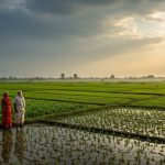 Good Rain in UP Today, But Signs of Monsoon's Halt; Growing Concern Over 26% Less Rainfall in June-July