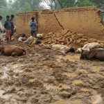 Rain's Havoc in Sitapur: One Youth Dead, Nine Cattle Also Killed as Mud Wall Collapses; Another Youth Critical