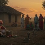 Snake havoc in this UP district: 151 people bitten in 19 days, 3 dead; even snake charmers helpless.