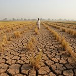 Drought Crisis in UP: Less than 40% Rainfall in 27 Districts, Special Alert in 10 Districts, Adverse Impact on These Crops!