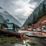 Nature's Havoc in Himachal: Tree Falls on Moving Bus, Schools Closed in 4 Districts; Chandigarh-Manali Four-Lane Blocked, Vehicles Trapped by Landslides, Kinnaur Kailash Yatra Postponed
