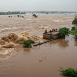 Water released from Gokul Barrage, Yamuna turned ferocious: Flood threat in 40 villages of UP, roads submerged
