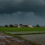 Alert! Torrential Rain in 17 UP Districts Today, Monsoon Active Again in Terai Belt