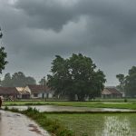 Weather Takes a Turn in UP: Heavy Rain Lashes Western Terai; More Downpour Expected Today in Purvanchal and Terai