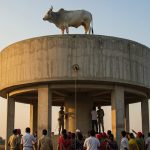 Bull climbs 50-foot water tank like 'Sholay's Veeru', hours-long rescue operation, video goes viral.