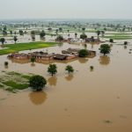 Flood devastation in Tappal, Aligarh: Yamuna crosses danger mark, crops in 12 villages destroyed.
