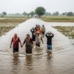 Bareilly: Raging Bahgul River Cuts Off Road, People Risk Lives to Cross; Hundreds of Acres of Crops Destroyed
