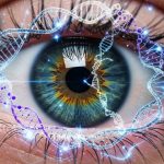 Why is eye color blue, green, or brown? Discover the scientific secret that's currently viral.