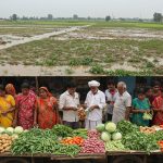 UP Floods Wreak Havoc: Crops Submerged in Bareilly, Vegetable Prices Skyrocket, Public Distressed