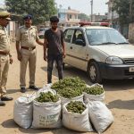 Etah Smuggler Arrested in Bareilly with 71.5 Kg Ganja from Odisha; Was Trafficking Drugs by Car