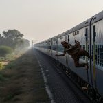 Horrific Incident in Kanpur: Woman Traveling to Gaya Jumps From Moving Train, Dies Tragically