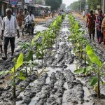 Lakhimpur Kheri: Dhaurahra's Main Road Turns into a Quagmire, People Stage Unique Protest by Planting Banana Saplings