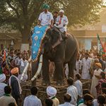 UP Panchayat Elections: BSP Tightens Belt, Will Go All Out to Regain Support Base in Villages